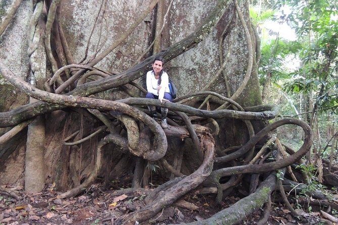 Amazon tour adventure 3/ Days 2/ Nights 450 usd - Final Thought