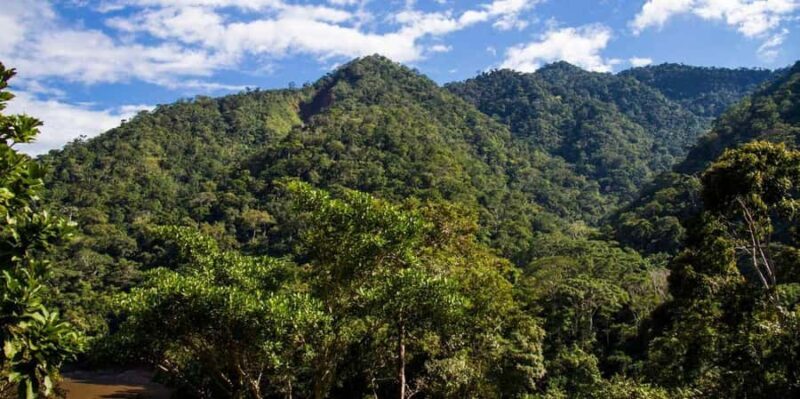 Amazon & Ucayali 4-Days Cruise - What’s Included and What You Should Consider