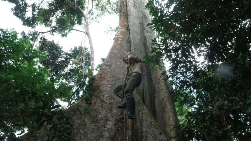 Amazonas Extreme - What’s Included and What’s Not