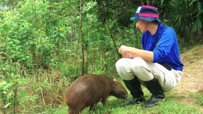 Amazonas Extreme - The Sum Up