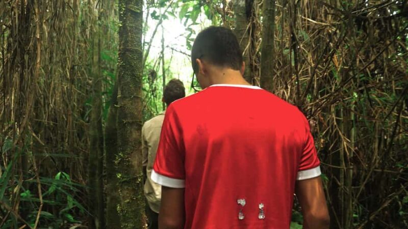 Amazonas Extreme - FAQ