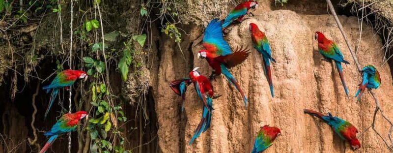 Amazonas Manu Cultural Zone 4 Days / 3 Nights - FAQ