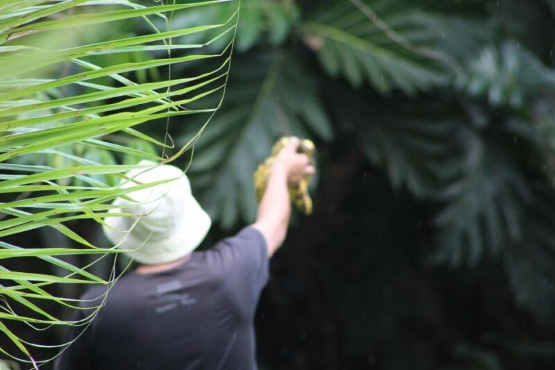 Amazonian Adventure 3 Days: Exploring the Jungle from Cusco - Final Thoughts: Is This Tour Right for You?