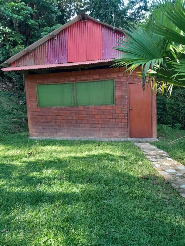 Amazonian Wonder, 2 days 01 night in lodge - Who Is This Tour Best For?