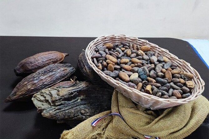 Ambar Chocolate Puerto Plata Culture and Colored Umbrella - Final Thoughts