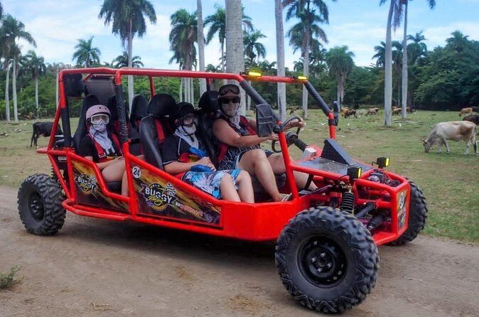 Amber Cove Buggy Tour with Swimming and Tasting - Authenticity and Value: What Travelers Say