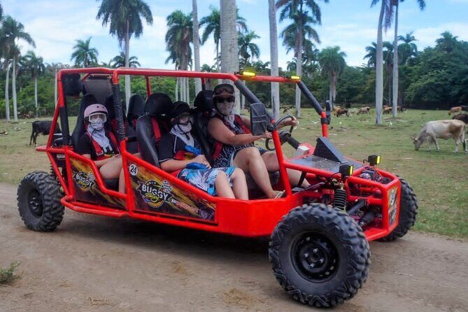 Amber Cove Buggy Tour with Swimming and Tasting - FAQ
