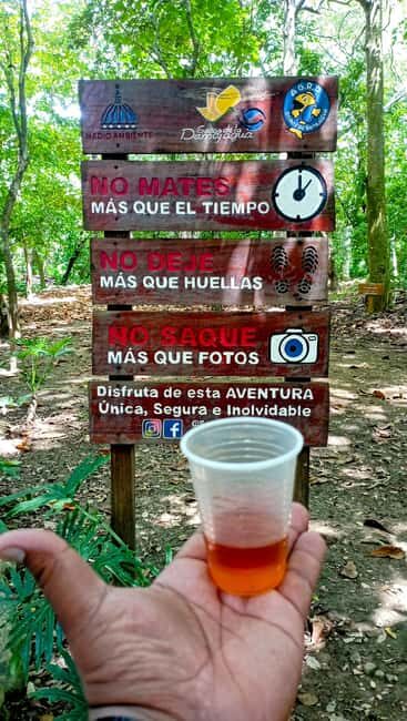 Amber Cove - Taino Bay 5 Zip Lines 7 Water Falls + Lunch To - Who Should Consider This Tour?