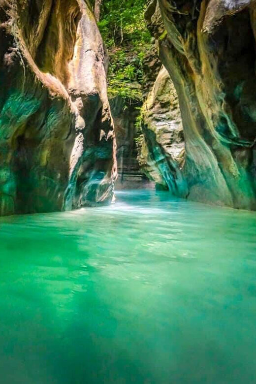 Amber Cove/Taino Bay: 7 Waterfall Tour with Swimming & Lunch - The Hike: A Scenic Ascent into Nature