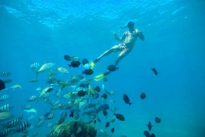 Amber Cove - Taino Bay Party Boat Snorkeling Whit Locale BBQ Tour - Who Will Love This Tour?