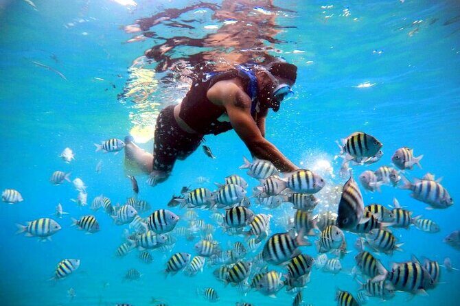 Amber Cove - Taino Bay Party Boat Snorkeling Whit Locale BBQ Tour - FAQ