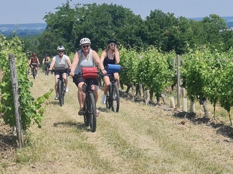 Amboise: Highlights Private E-Bike Tour w/ Clos Lucé Ticket - Final Words