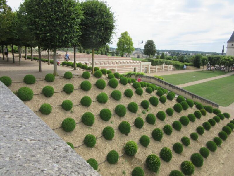 Amboise: Private Guided Tour of the Castle with Entry Ticket - Exploring Château dAmboise: A Private Guided Tour in the Heart of the Loire Valley