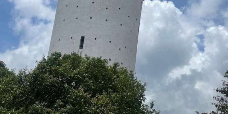 Ambuluwawa Tower & Pinnawala & Kandy Day Tour From Negombo - The Sum Up