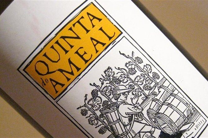 Ameal Wine Experience - An In-Depth Look at the Ameal Wine Experience