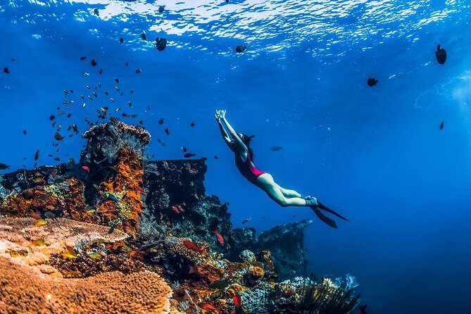 Amed Bali Snorkelling: Japanese Shipwreck & Vienna Beach Tour - The Experience: What Youll Do and What to Expect