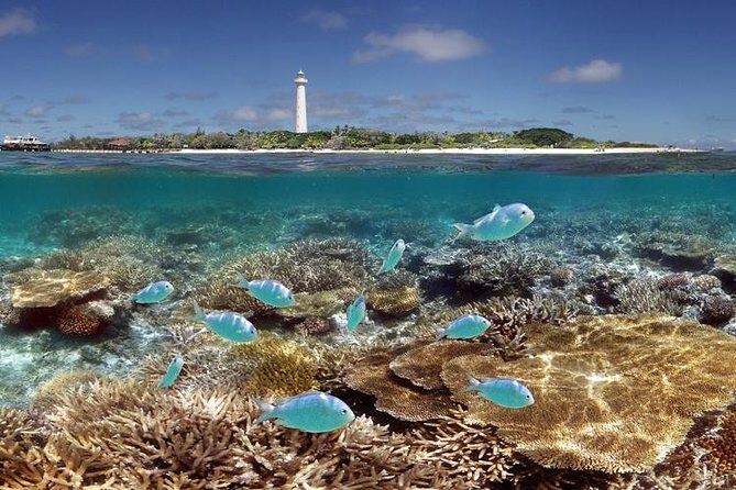 Amedee Lighthouse - Who Will Love This Tour?