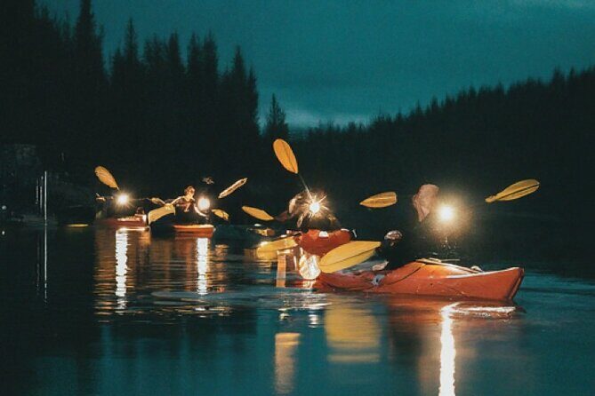 Amelia Full Moon Paddle at Talbot Islands State Park - Experience the Natural Beauty of Amelia Island with a Full Moon Paddle