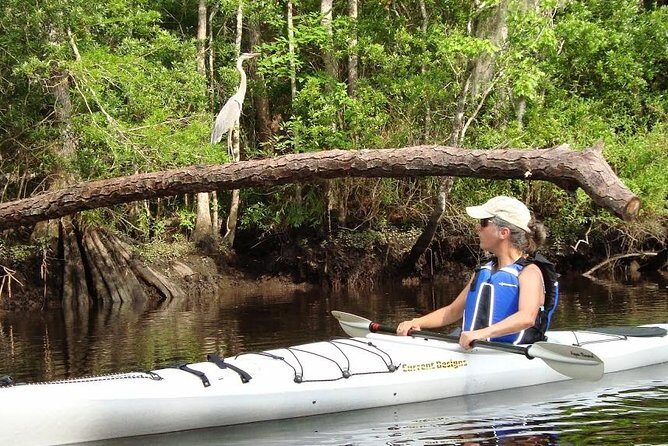 Amelia Island Area Kayak Rental on Lofton Creek with Adventures Up The Creek - Key Points