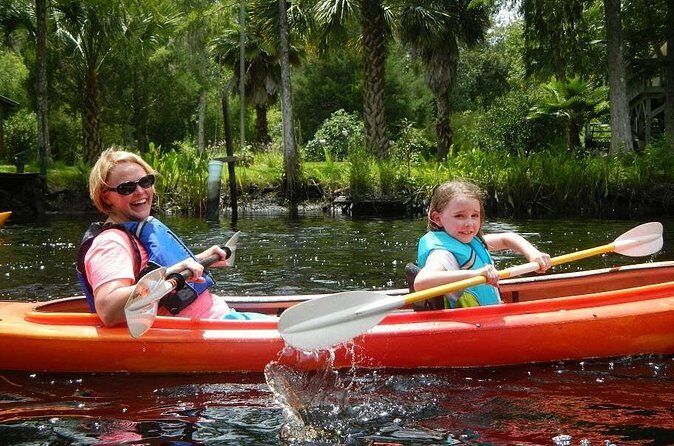 Amelia Island Area Kayak Rental on Lofton Creek with Adventures Up The Creek - Final Thoughts: Is This Kayaking Experience for You?