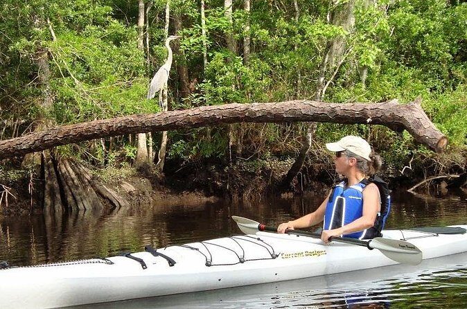 Amelia Island Area Kayak Rental on Lofton Creek with Adventures Up The Creek - Frequently Asked Questions (FAQs)