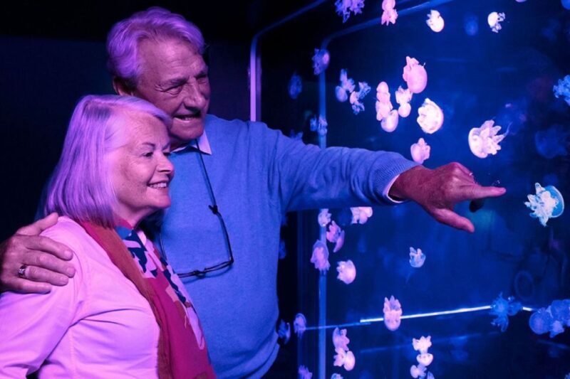 American Dream: SEA LIFE® Aquarium Entry Ticket - A Deep Dive into the SEA LIFE® Aquarium Experience
