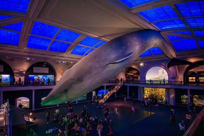 American Museum of Natural History Admission Ticket - Who Will Love This Museum?