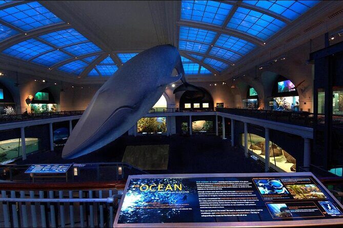 American Museum of Natural History Admission Ticket - FAQ