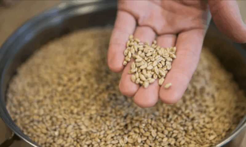 Amersfoort: Beer brewing workshop with lunch & beer tasting - Final thoughts