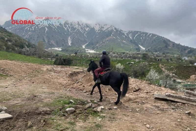 Amirsoy, Chimgan & Charvak Tour from Tashkent - Key Points