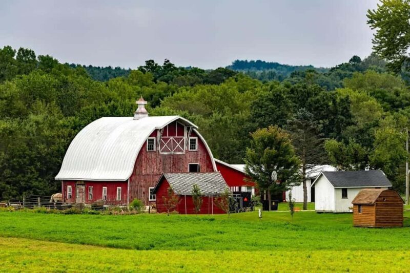 Amish Farm and House 1-Day Tour From Washington D.C. - Key Points