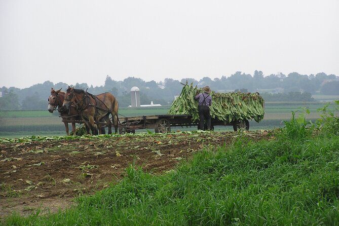 Amish Farmlands Tour - A Detailed Look at the Amish Farmlands Tour
