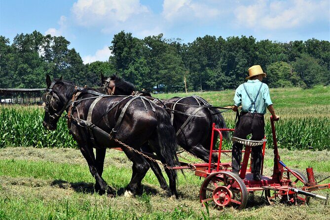 Amish Farmlands Tour - Final Thoughts: Is This Tour Right for You?