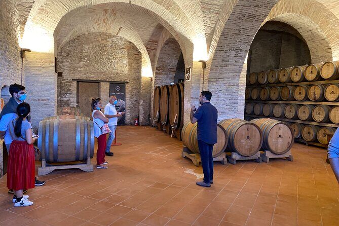 Among ancient sunny vineyards, visit and taste the wines from the San Lorenzo cellar - FAQ