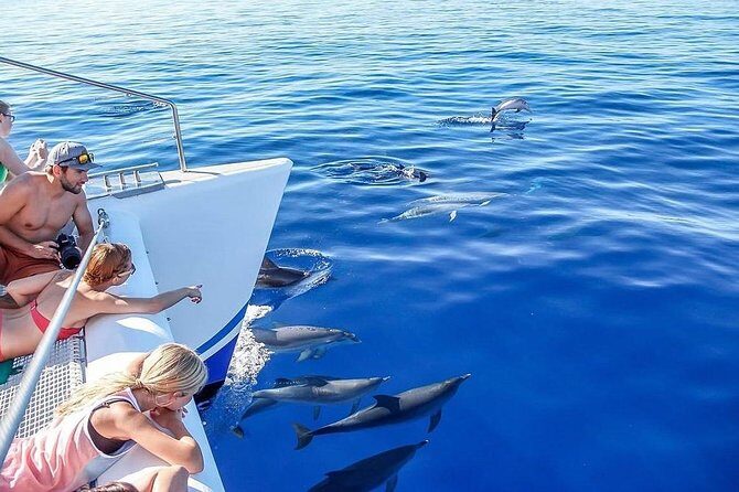 Among Whales Dolphins and Volcanoes Full Day Tour With Lunch - Discovering São Miguel: A Detailed Journey