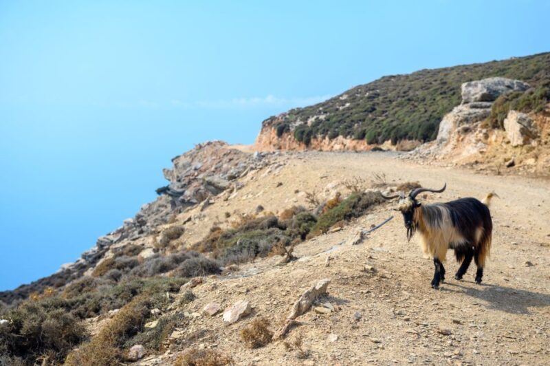 Amorgos: Guided Hike of the Panagia Hozoviotissa Monastery - A Detailed Look at the Amorgos Guided Hike
