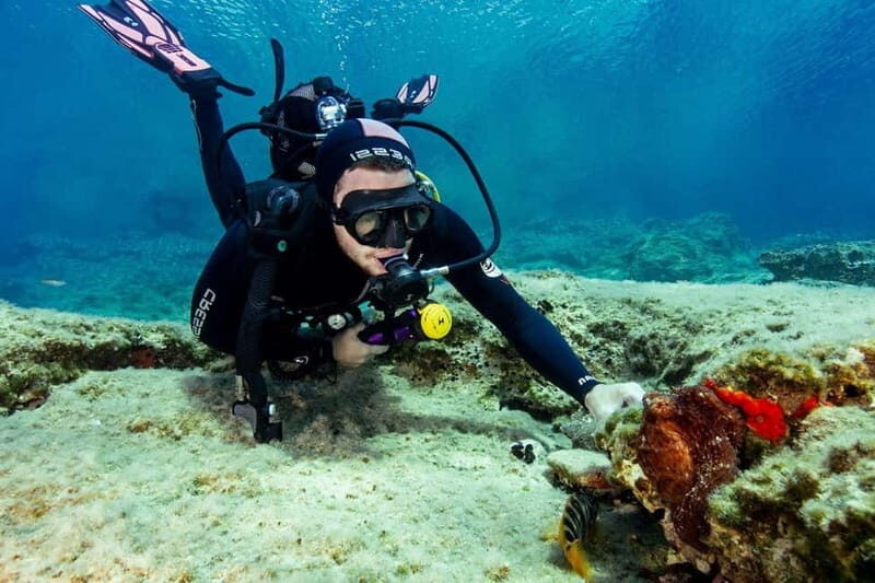 Amorgos Underwater Experience Open Water Diver Course - FAQ