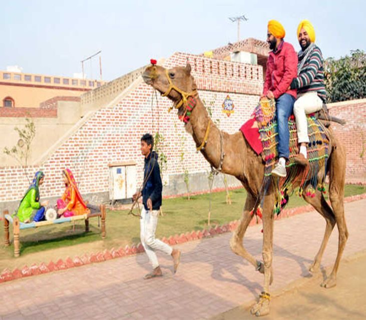 Amritsar: Evening Tour to Sadda Pind with Dinner - Discover the Heart of Punjab: Evening Tour to Sadda Pind with Dinner