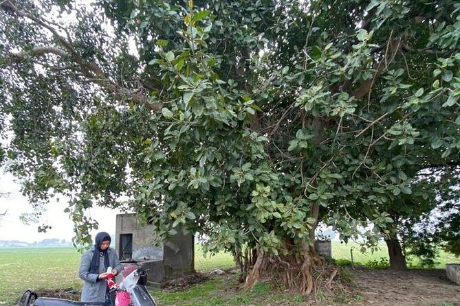 Amritsar Full Day Tour with Wagah Border (Travelers Choice 2024) - FAQ