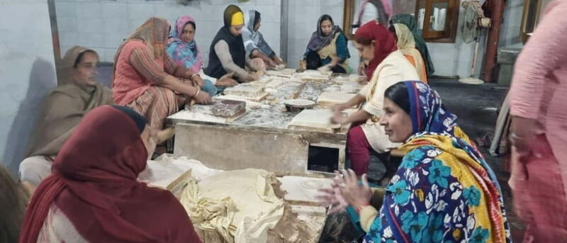 Amritsar: Golden Temple and Jallianwala Bagh Guided Tour - Who Should Take This Tour?