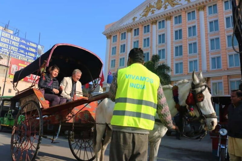 Amritsar: Golden Temple, Jallianwala Bagh, Wagah Border Tour - The Sum Up