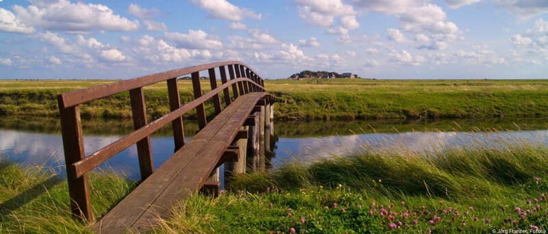 Amrum: Day trip by boat to Hallig Hooge - Key Points