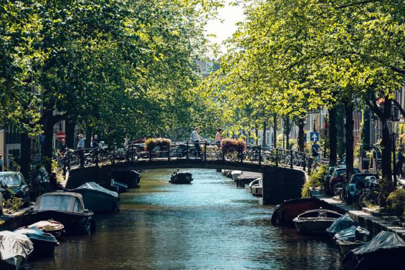 Amsterdam: 2-Hour City Highlights Guided Bike Tour - Practical Considerations: Who Is This Tour Best For?