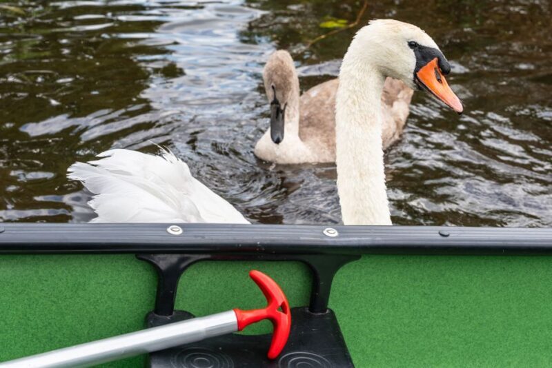 Amsterdam: 2-Hour Guided Canoe Trip - Who Will Love This Tour?