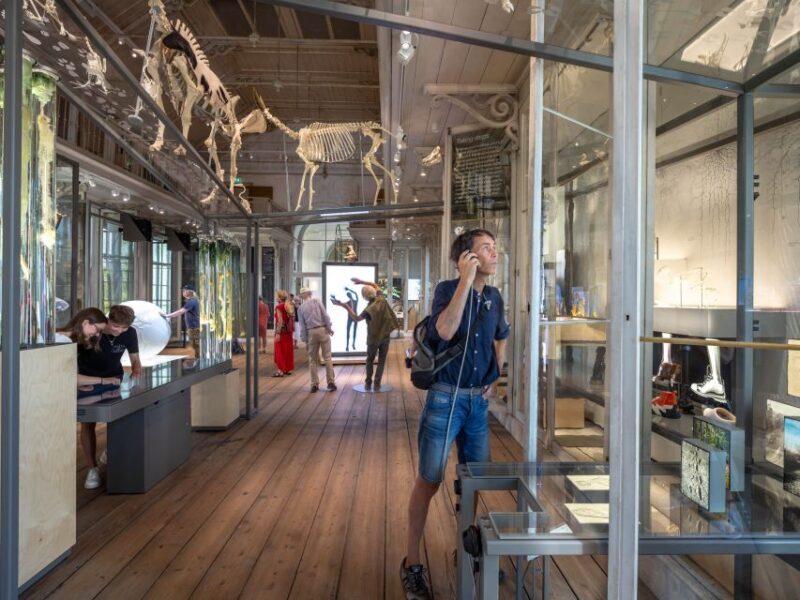 Amsterdam: ARTIS-Groote Museum Entry Ticket - A Deep Dive into the ARTIS-Groote Museum