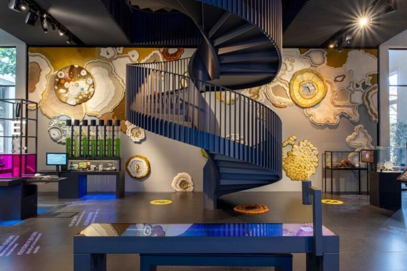 Amsterdam: ARTIS-Micropia Microbe Museum Entry Ticket - Practical Tips for Visiting