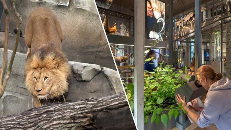 Amsterdam: ARTIS Royal Zoo and ARTIS Groote Museum Ticket - Inside the Groote Museum: Asking Big Questions