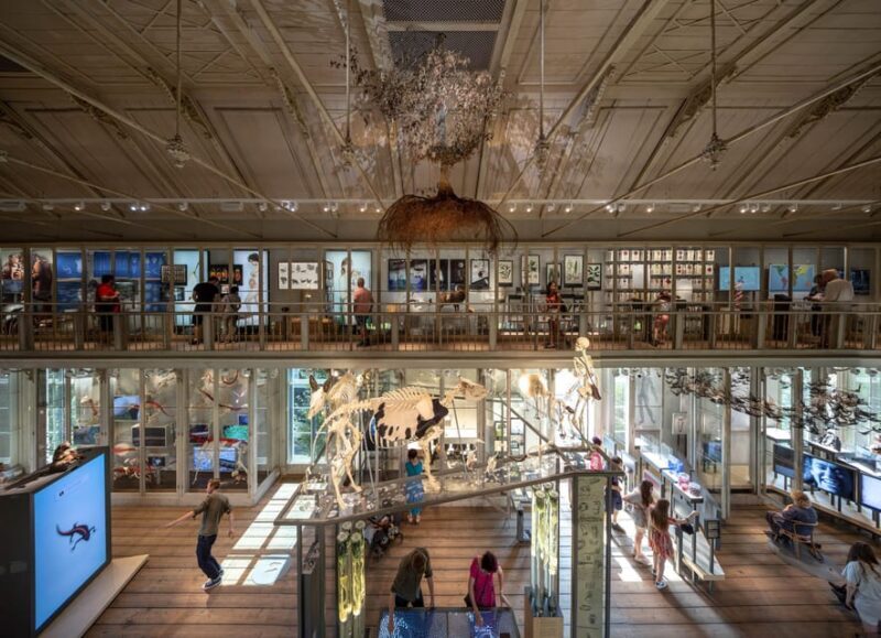 Amsterdam: ARTIS Royal Zoo and ARTIS Groote Museum Ticket - The Sum Up