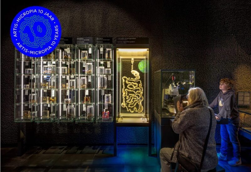Amsterdam: Artis Royal Zoo & ARTIS-Micropia Combo Ticket - The Sum Up