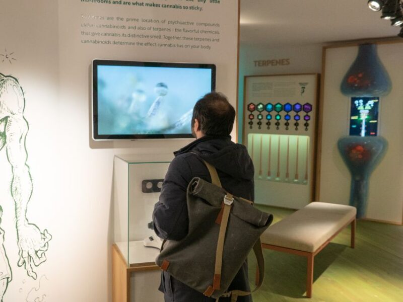 Amsterdam: Cannabis Museum Entry Ticket - What You Can Expect at the Cannabis Museum in Amsterdam